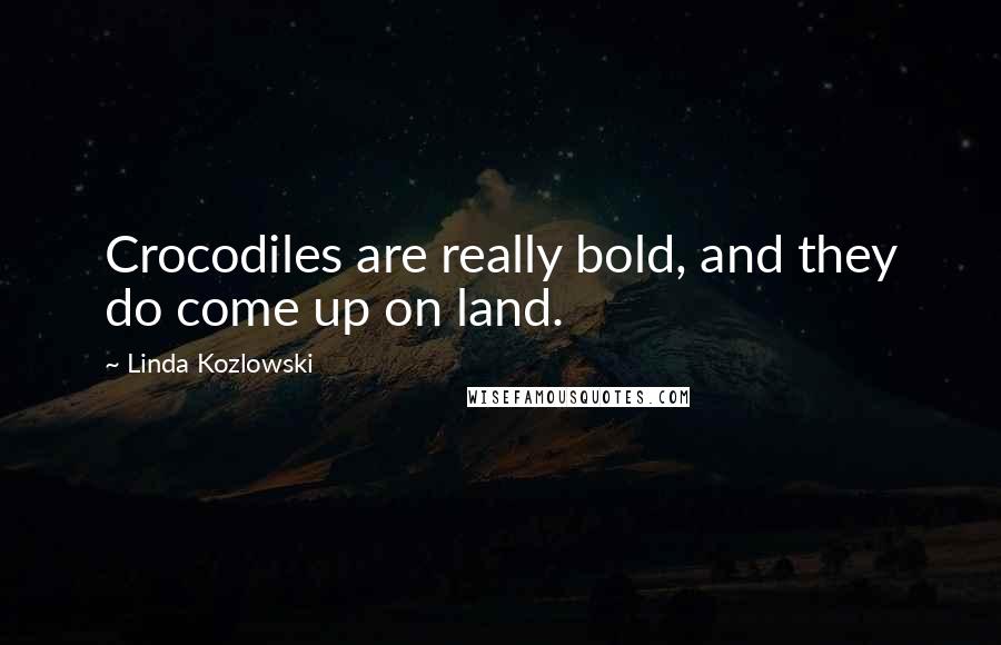 Linda Kozlowski Quotes: Crocodiles are really bold, and they do come up on land.