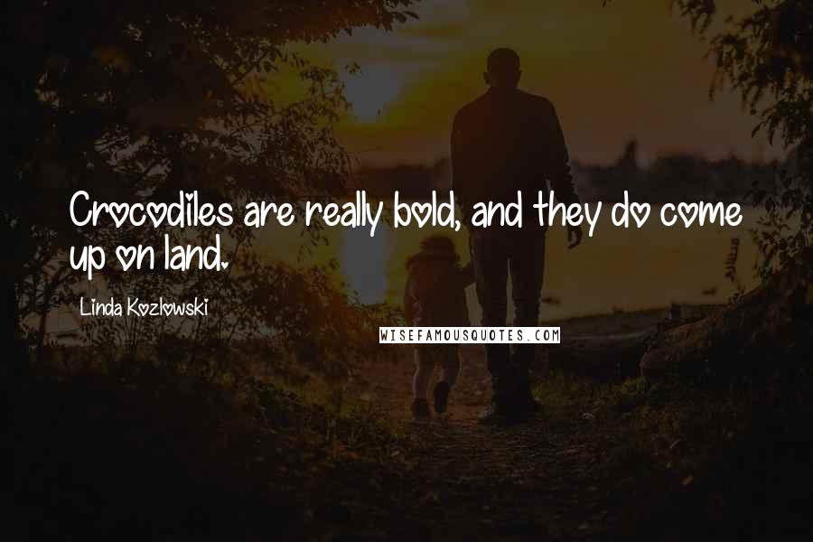 Linda Kozlowski Quotes: Crocodiles are really bold, and they do come up on land.