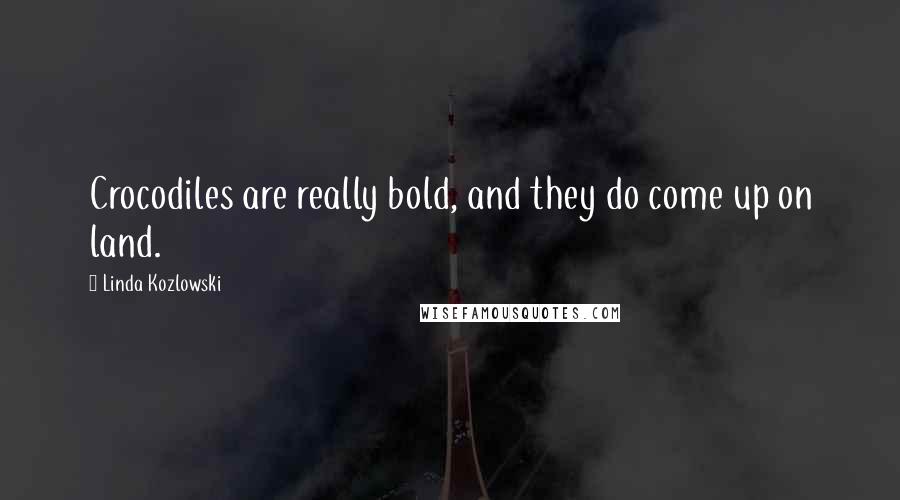 Linda Kozlowski Quotes: Crocodiles are really bold, and they do come up on land.