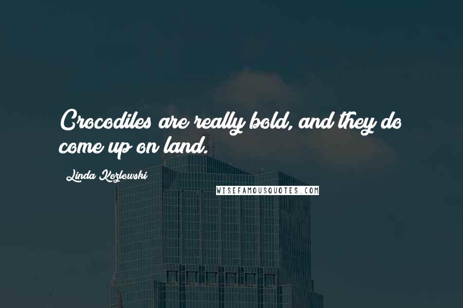 Linda Kozlowski Quotes: Crocodiles are really bold, and they do come up on land.