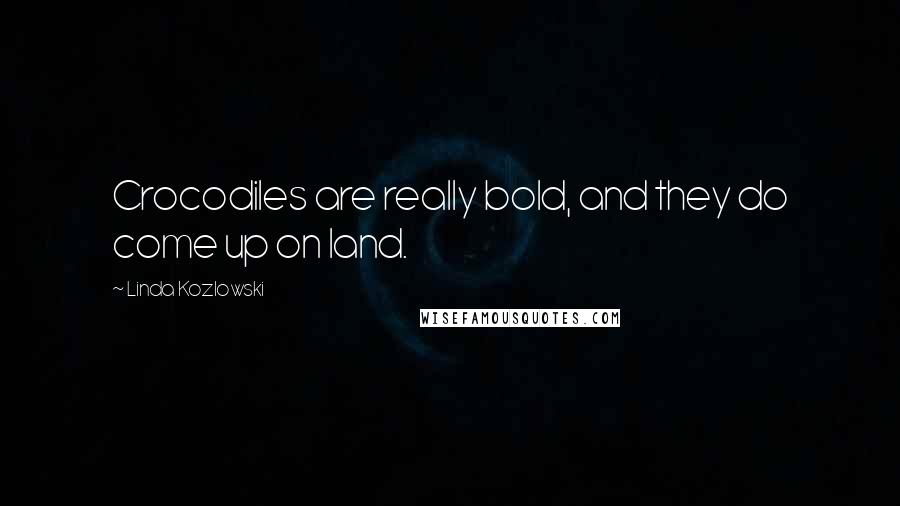 Linda Kozlowski Quotes: Crocodiles are really bold, and they do come up on land.