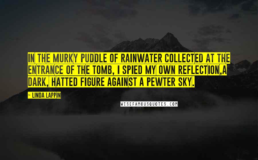 Linda Lappin Quotes: In the murky puddle of rainwater collected at the entrance of the tomb, I spied my own reflection,a dark, hatted figure against a pewter sky.