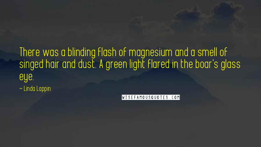 Linda Lappin Quotes: There was a blinding flash of magnesium and a smell of singed hair and dust. A green light flared in the boar's glass eye.