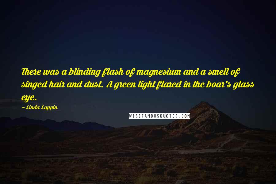 Linda Lappin Quotes: There was a blinding flash of magnesium and a smell of singed hair and dust. A green light flared in the boar's glass eye.