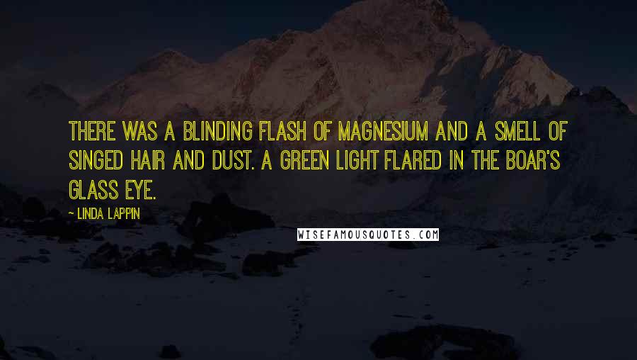 Linda Lappin Quotes: There was a blinding flash of magnesium and a smell of singed hair and dust. A green light flared in the boar's glass eye.