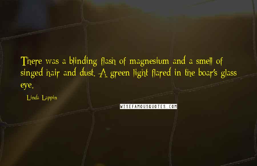 Linda Lappin Quotes: There was a blinding flash of magnesium and a smell of singed hair and dust. A green light flared in the boar's glass eye.