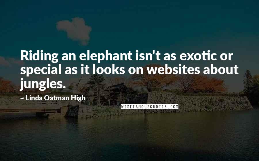 Linda Oatman High Quotes: Riding an elephant isn't as exotic or special as it looks on websites about jungles.