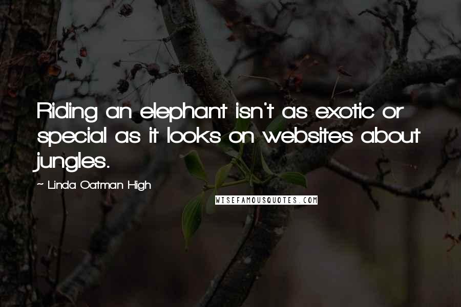 Linda Oatman High Quotes: Riding an elephant isn't as exotic or special as it looks on websites about jungles.