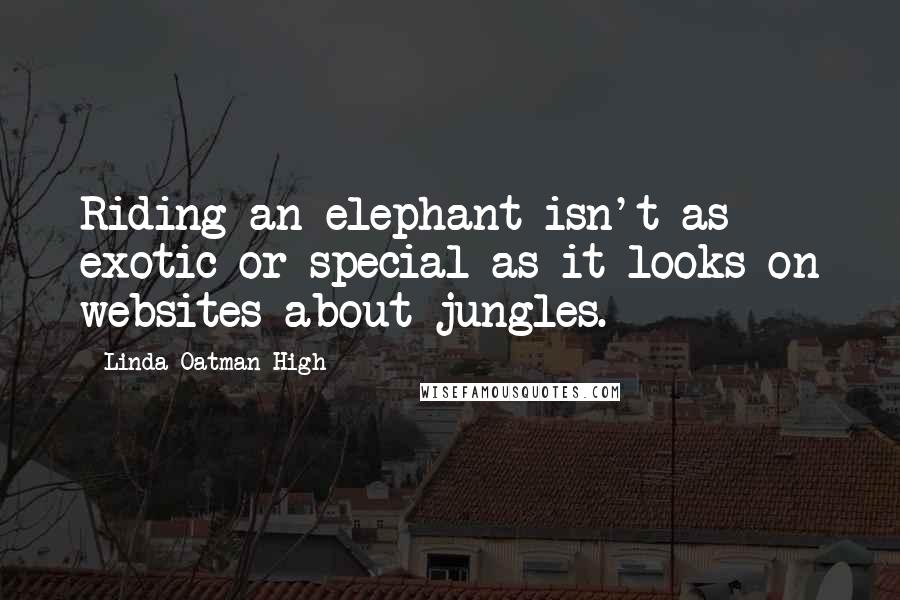 Linda Oatman High Quotes: Riding an elephant isn't as exotic or special as it looks on websites about jungles.