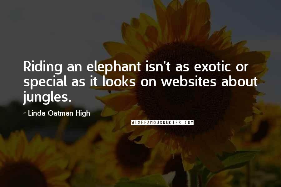 Linda Oatman High Quotes: Riding an elephant isn't as exotic or special as it looks on websites about jungles.