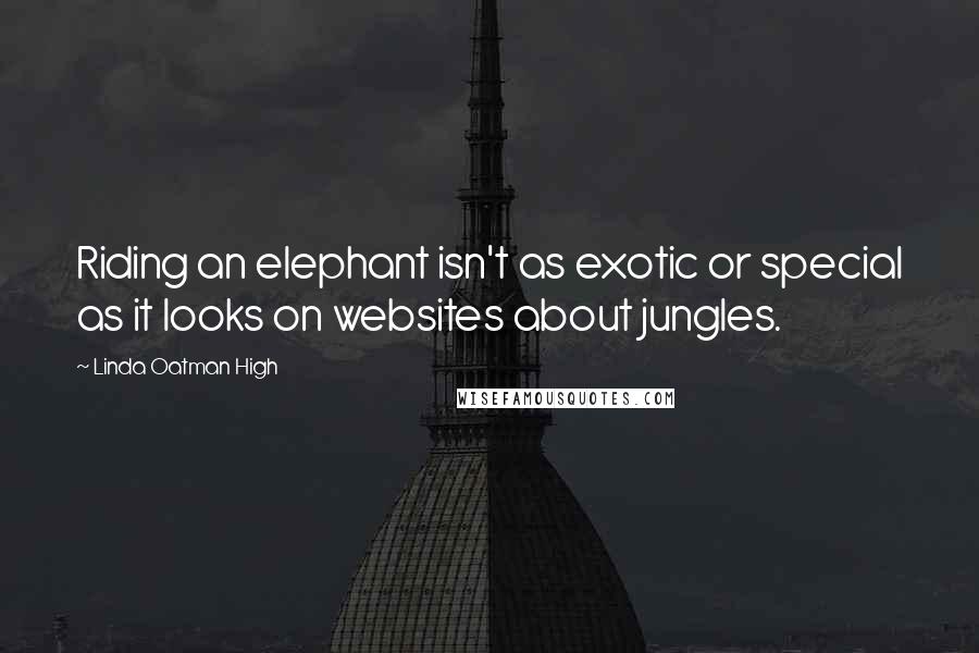 Linda Oatman High Quotes: Riding an elephant isn't as exotic or special as it looks on websites about jungles.