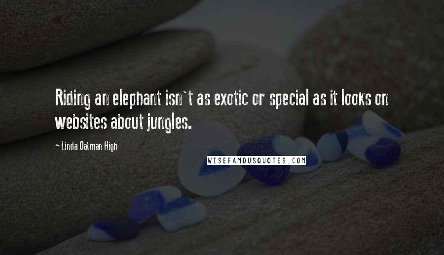 Linda Oatman High Quotes: Riding an elephant isn't as exotic or special as it looks on websites about jungles.