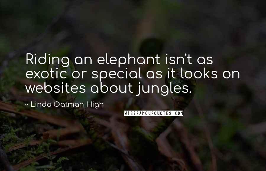 Linda Oatman High Quotes: Riding an elephant isn't as exotic or special as it looks on websites about jungles.