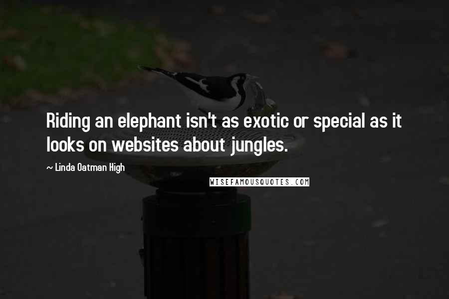 Linda Oatman High Quotes: Riding an elephant isn't as exotic or special as it looks on websites about jungles.