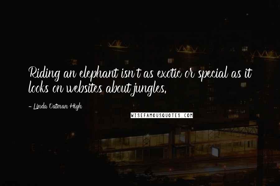 Linda Oatman High Quotes: Riding an elephant isn't as exotic or special as it looks on websites about jungles.