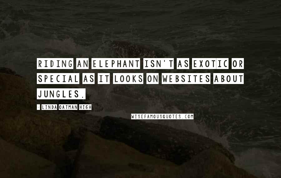 Linda Oatman High Quotes: Riding an elephant isn't as exotic or special as it looks on websites about jungles.