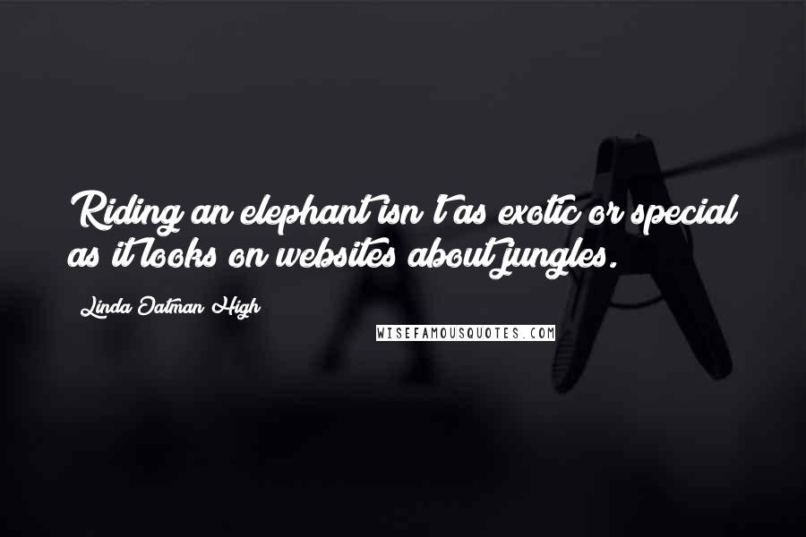 Linda Oatman High Quotes: Riding an elephant isn't as exotic or special as it looks on websites about jungles.