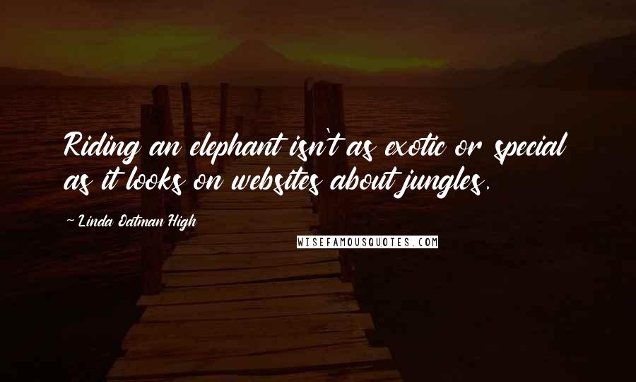 Linda Oatman High Quotes: Riding an elephant isn't as exotic or special as it looks on websites about jungles.