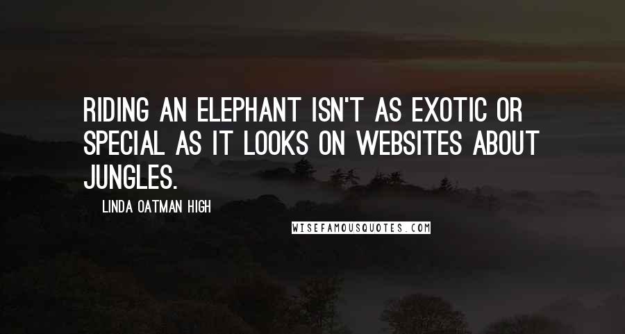 Linda Oatman High Quotes: Riding an elephant isn't as exotic or special as it looks on websites about jungles.