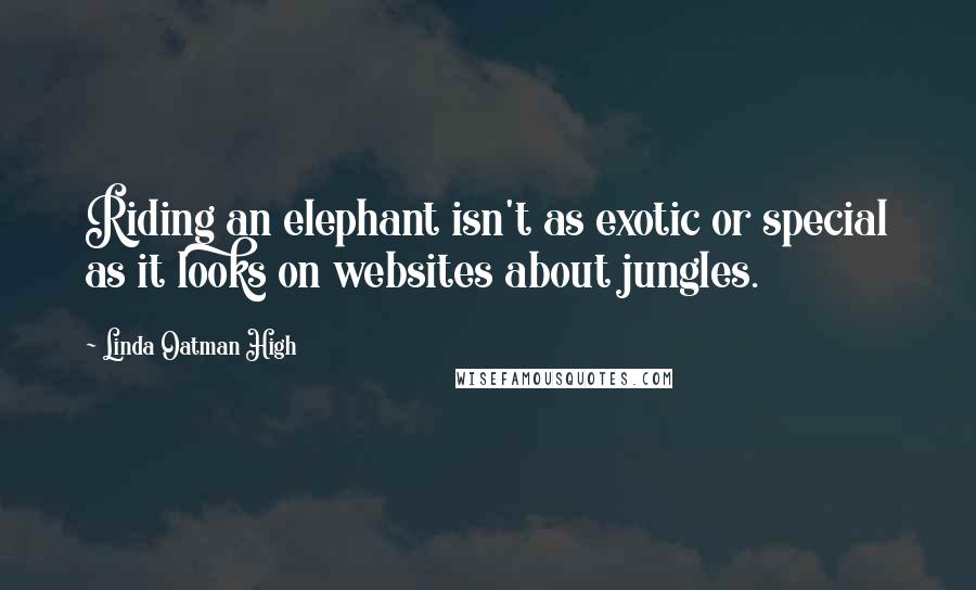 Linda Oatman High Quotes: Riding an elephant isn't as exotic or special as it looks on websites about jungles.