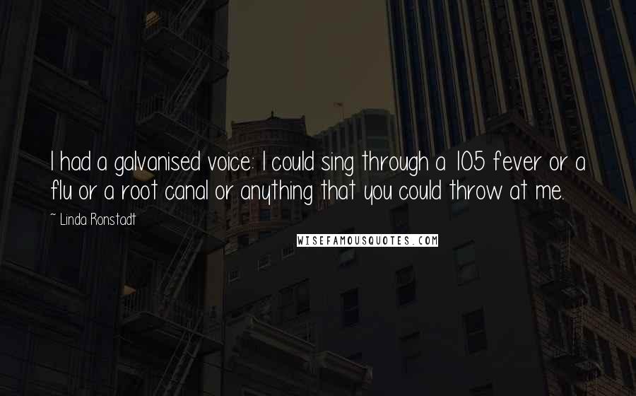 Linda Ronstadt Quotes: I had a galvanised voice: I could sing through a 105 fever or a flu or a root canal or anything that you could throw at me.