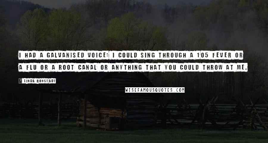 Linda Ronstadt Quotes: I had a galvanised voice: I could sing through a 105 fever or a flu or a root canal or anything that you could throw at me.