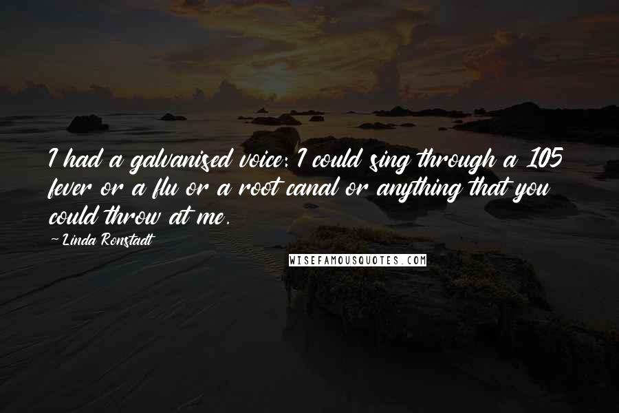Linda Ronstadt Quotes: I had a galvanised voice: I could sing through a 105 fever or a flu or a root canal or anything that you could throw at me.