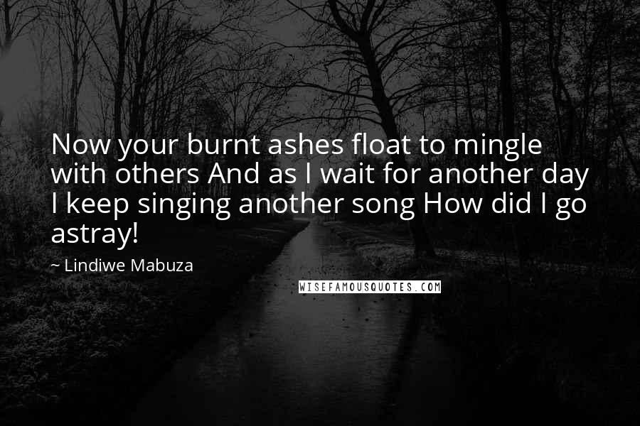 Lindiwe Mabuza Quotes: Now your burnt ashes float to mingle with others And as I wait for another day I keep singing another song How did I go astray!