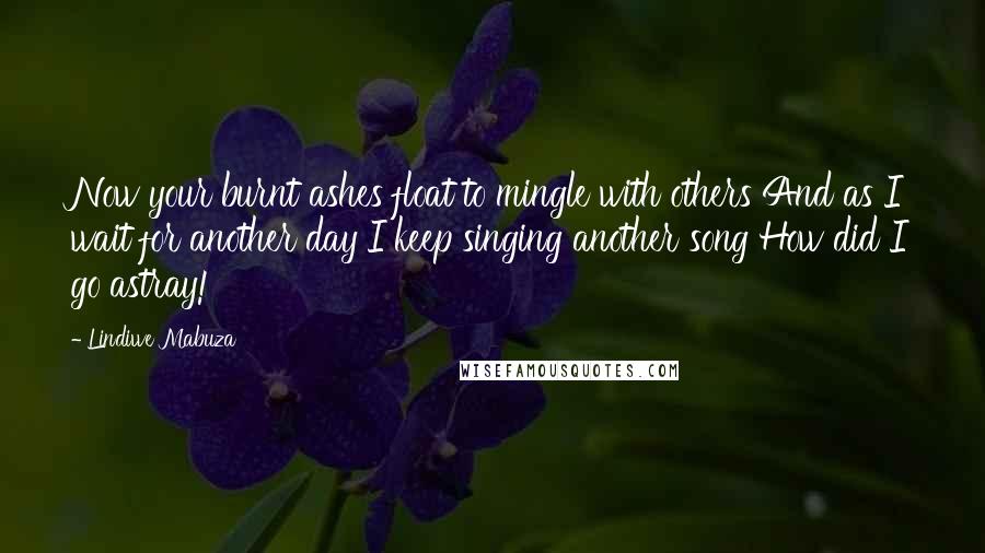 Lindiwe Mabuza Quotes: Now your burnt ashes float to mingle with others And as I wait for another day I keep singing another song How did I go astray!