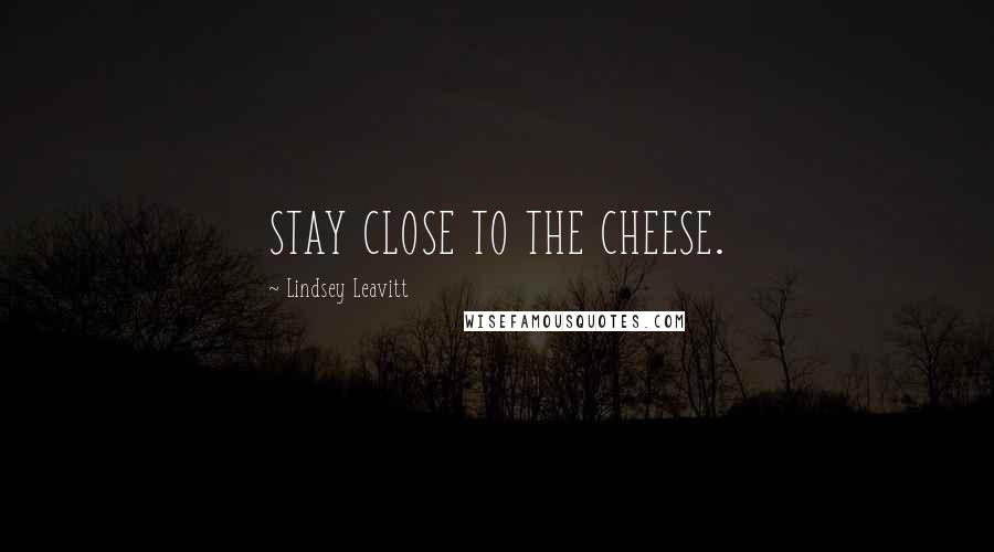 Lindsey Leavitt Quotes: STAY CLOSE TO THE CHEESE.