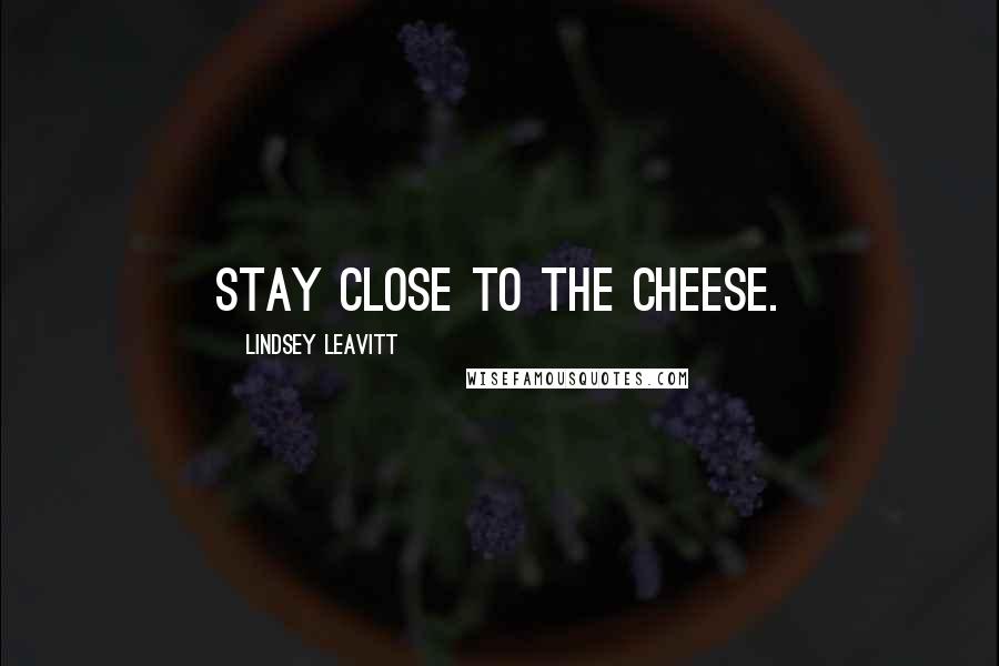 Lindsey Leavitt Quotes: STAY CLOSE TO THE CHEESE.