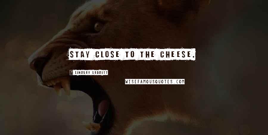 Lindsey Leavitt Quotes: STAY CLOSE TO THE CHEESE.