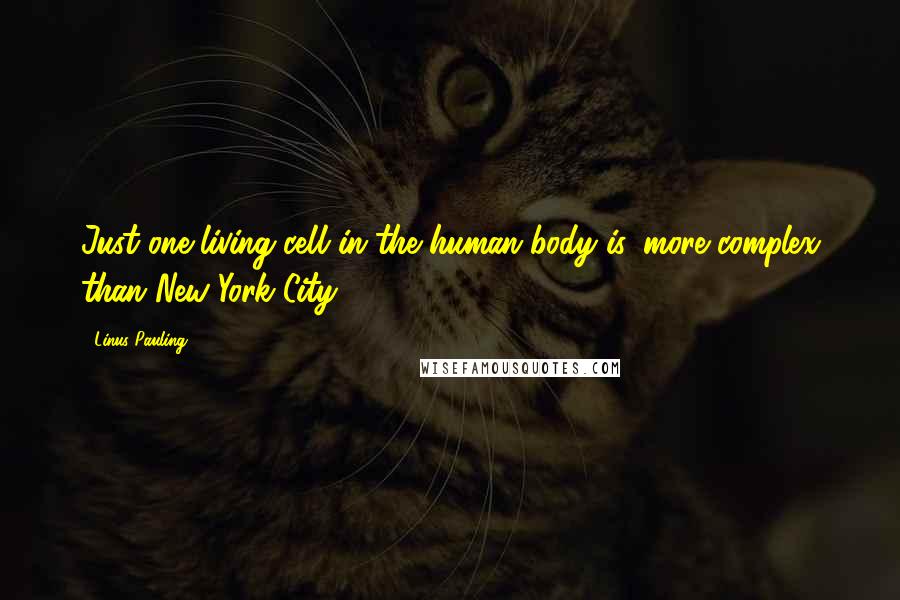 Linus Pauling Quotes: Just one living cell in the human body is, more complex than New York City.