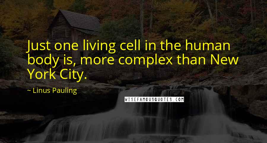 Linus Pauling Quotes: Just one living cell in the human body is, more complex than New York City.