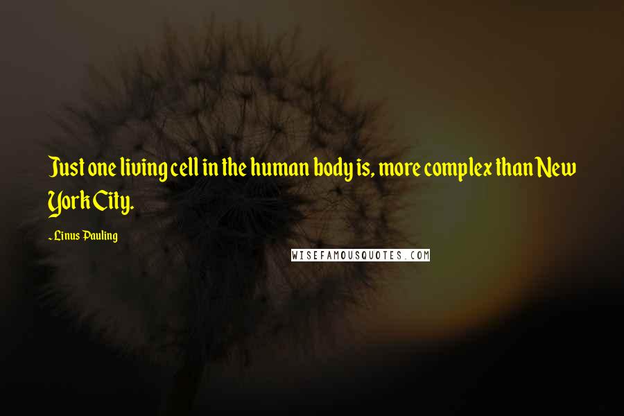 Linus Pauling Quotes: Just one living cell in the human body is, more complex than New York City.