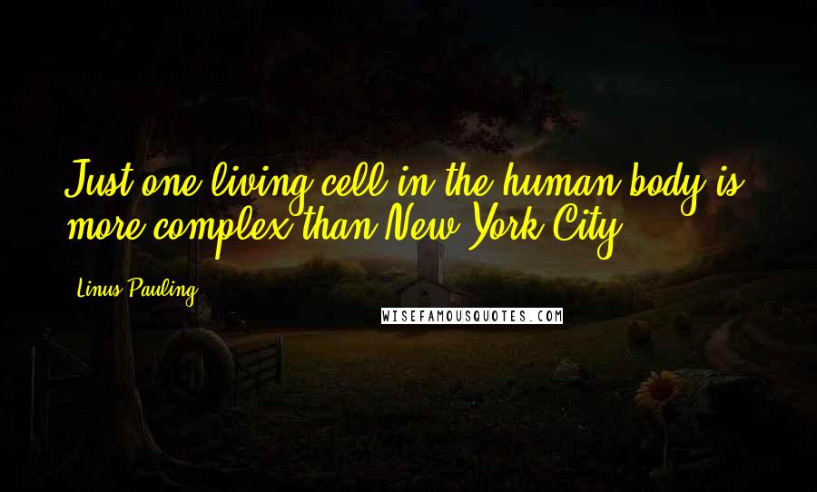 Linus Pauling Quotes: Just one living cell in the human body is, more complex than New York City.