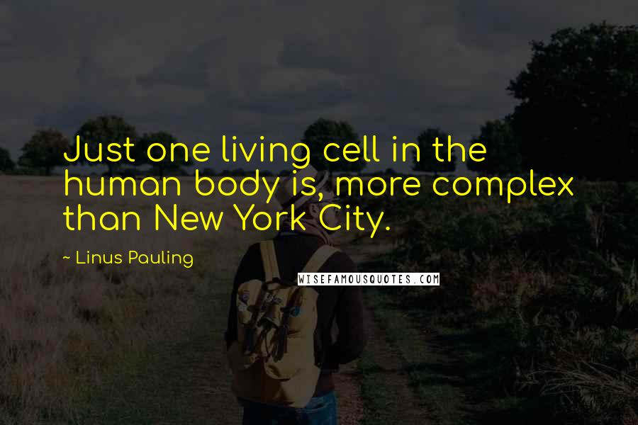 Linus Pauling Quotes: Just one living cell in the human body is, more complex than New York City.