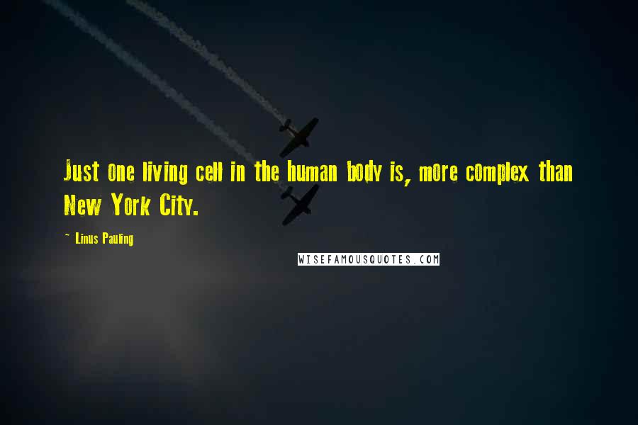 Linus Pauling Quotes: Just one living cell in the human body is, more complex than New York City.