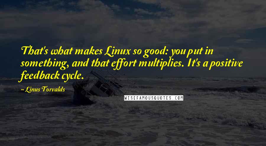 Linus Torvalds Quotes: That's what makes Linux so good: you put in something, and that effort multiplies. It's a positive feedback cycle.