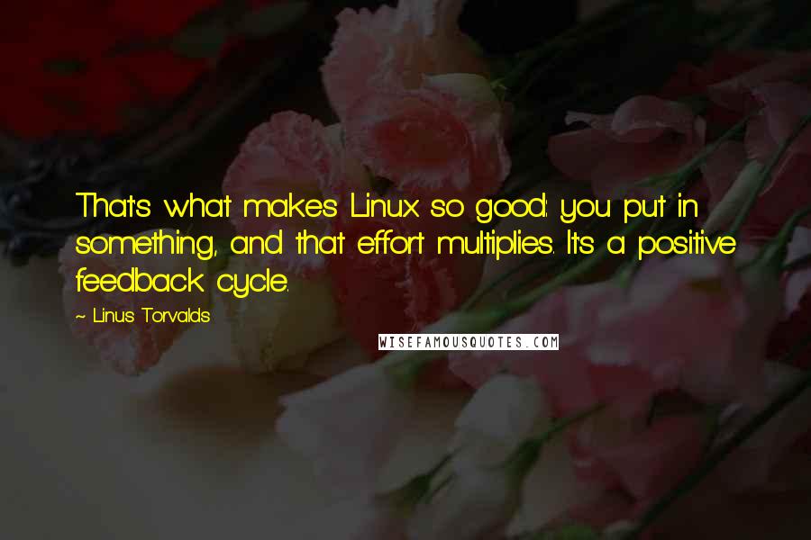 Linus Torvalds Quotes: That's what makes Linux so good: you put in something, and that effort multiplies. It's a positive feedback cycle.