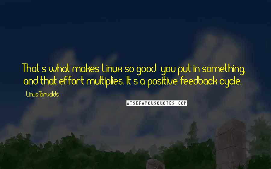 Linus Torvalds Quotes: That's what makes Linux so good: you put in something, and that effort multiplies. It's a positive feedback cycle.