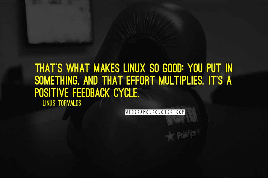 Linus Torvalds Quotes: That's what makes Linux so good: you put in something, and that effort multiplies. It's a positive feedback cycle.