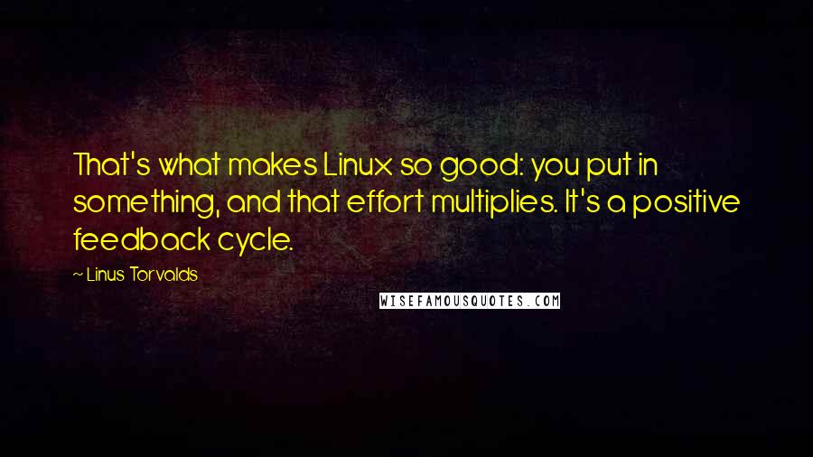 Linus Torvalds Quotes: That's what makes Linux so good: you put in something, and that effort multiplies. It's a positive feedback cycle.