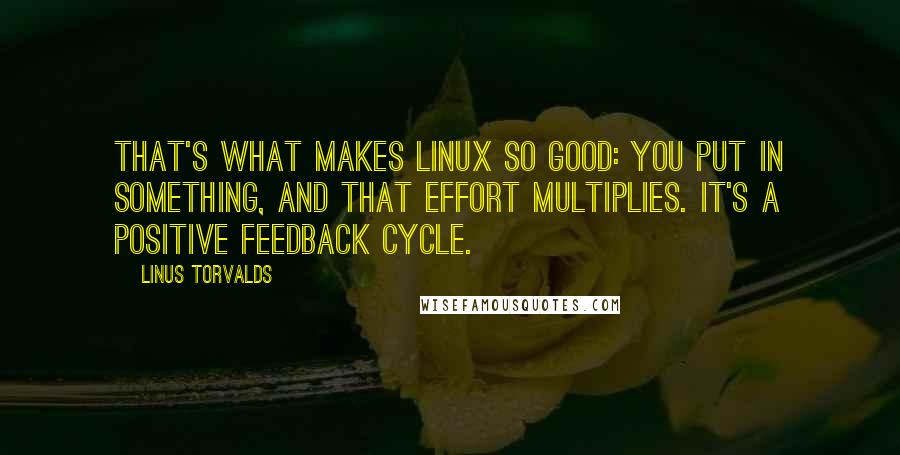 Linus Torvalds Quotes: That's what makes Linux so good: you put in something, and that effort multiplies. It's a positive feedback cycle.
