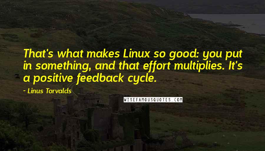 Linus Torvalds Quotes: That's what makes Linux so good: you put in something, and that effort multiplies. It's a positive feedback cycle.