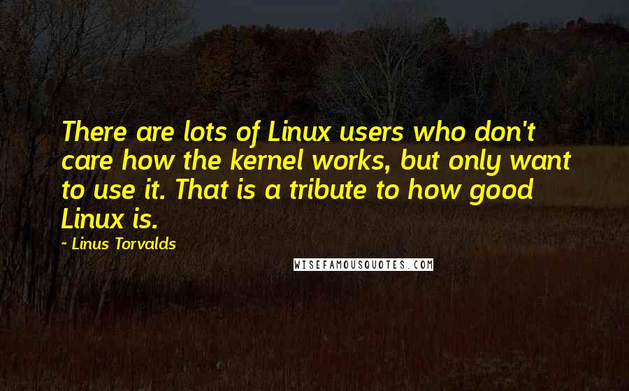 Linus Torvalds Quotes: There are lots of Linux users who don't care how the kernel works, but only want to use it. That is a tribute to how good Linux is.