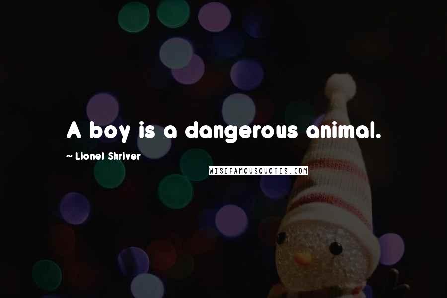 Lionel Shriver Quotes: A boy is a dangerous animal.