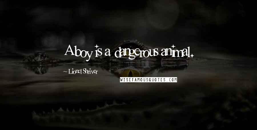 Lionel Shriver Quotes: A boy is a dangerous animal.