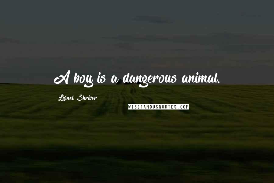 Lionel Shriver Quotes: A boy is a dangerous animal.