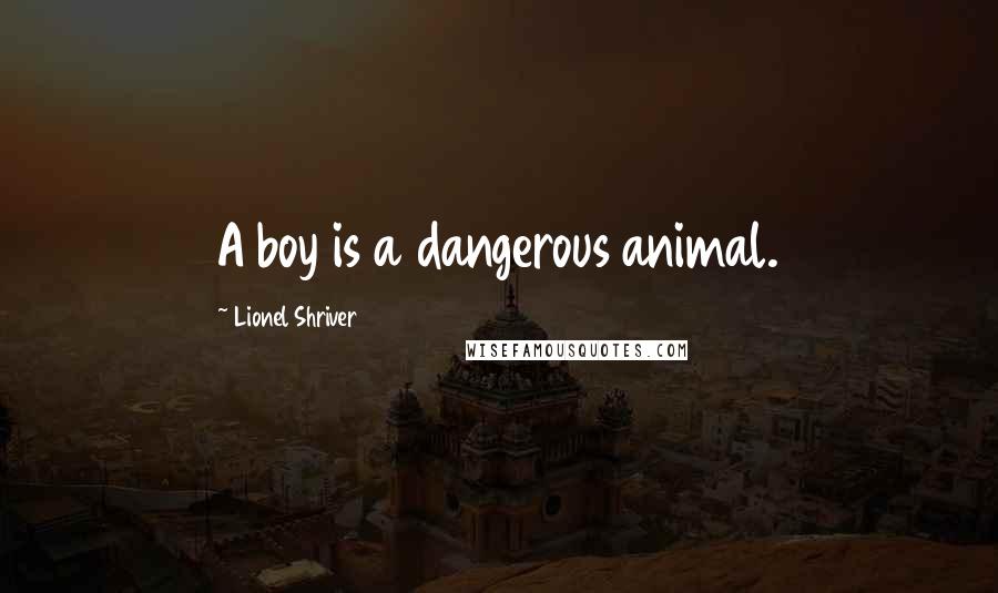 Lionel Shriver Quotes: A boy is a dangerous animal.